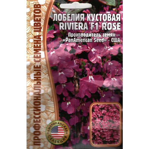   Riviera F1 Rose,   ( 1 : 5  ),  185