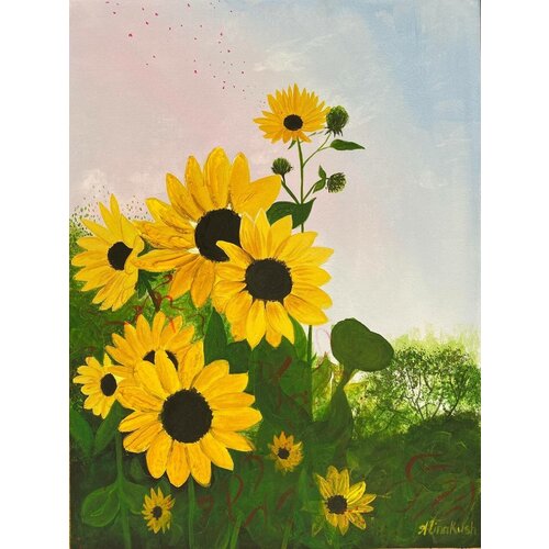Sunflowers in the field /    / , ,  4500