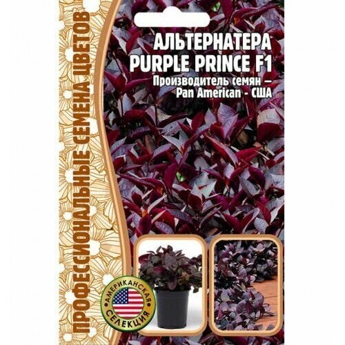  Purple Prince F1 3  (  ),  310
