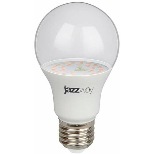 Jazzway PPG A60 Agro 9w CLEAR E27 IP20 (  ) Jazzway, .5008946 1 .,  640