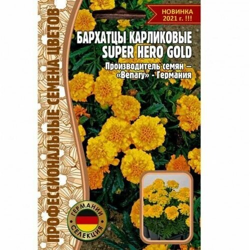  Super Hero Gold  10 (  ),  216