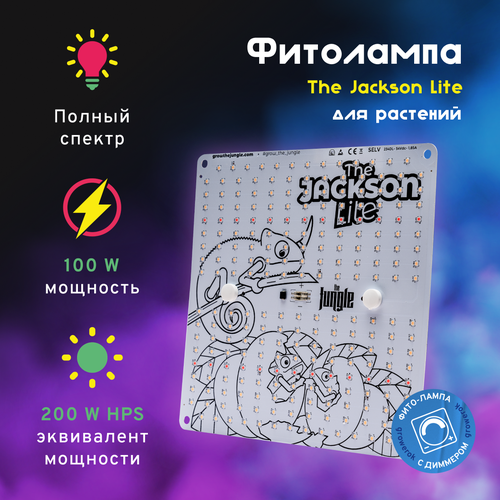 LED  The Jackson 100W Lite  ,  16500