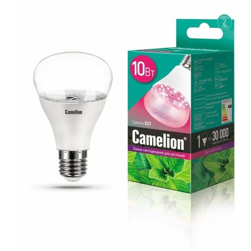     Camelion LED10-PL/,  766