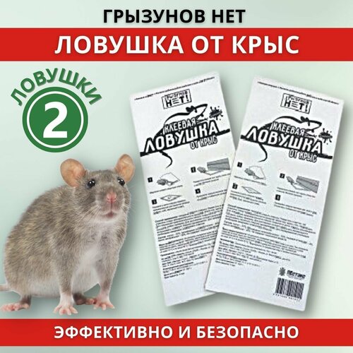      (Mr. Mouse),  2 .,  207