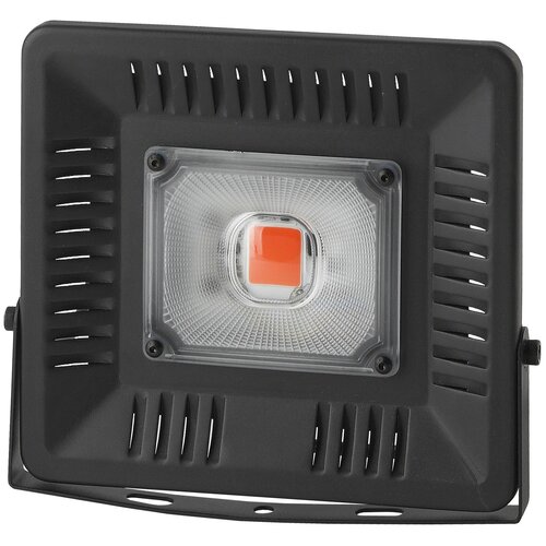     FITO-50W-LED-BLUERED 0039033,  3611