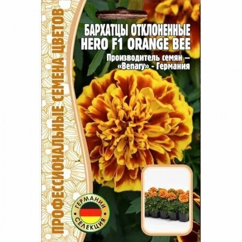  Hero Orange Bee  F1 10  (  ),  223