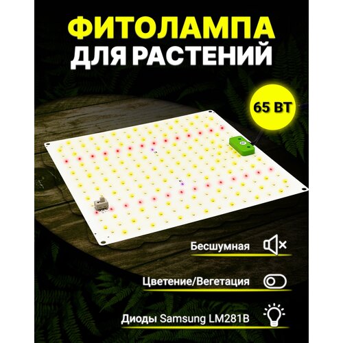      Samsung LM281b+/ quantum board/  /    ,  3490