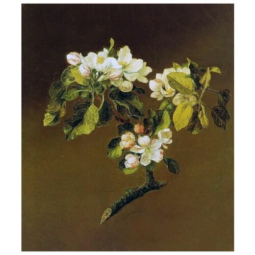      (Blooming apple)    40. x 47.,  1640