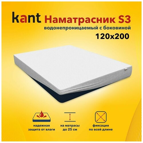  Kant    S3,12020025,  1587
