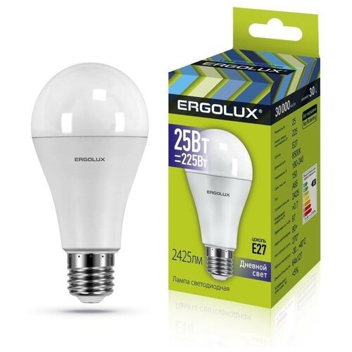   Ergolux LED-A65-25W-E27-6K,  159