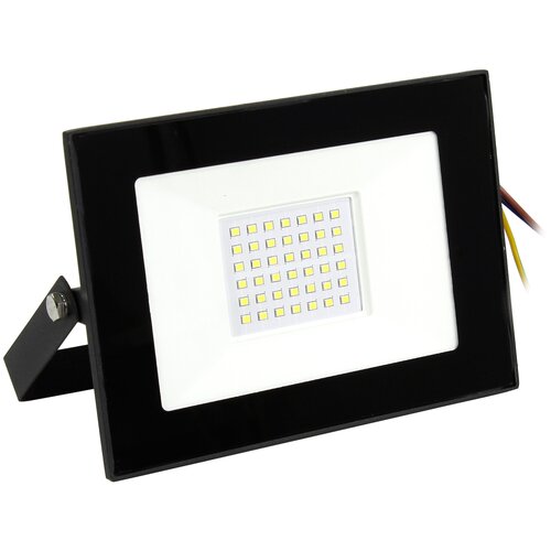  (LED)  FL SMD LIGHT Smartbuy-50W/6500K/IP65,  409