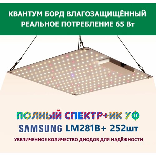    65 ,  CG 650L,    , - quantum board  Samsung LM281b+, 252 . 5000, 395-730.,  3190