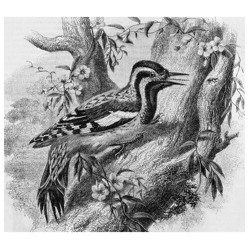       (Bird on a tree) 45. x 40.,  1590