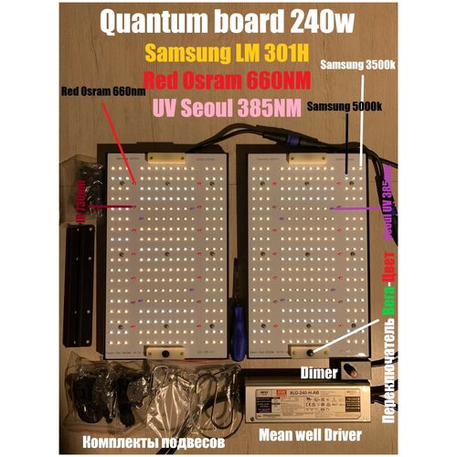 Quantum board 260w Samsung LM301H OSRAM 660nm UV+IR (     ,  Bestva   240  ),  19999