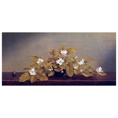     (Flowers) 24    86. x 40.,  2610