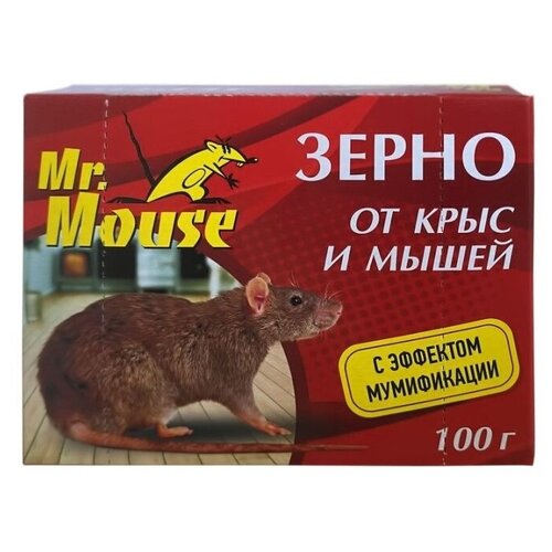      Mr. Mouse 100 ,  91
