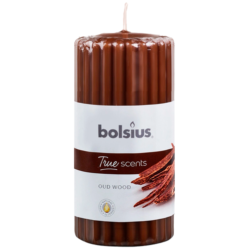    Bolsius True scents 120/58   -   33 ,  274