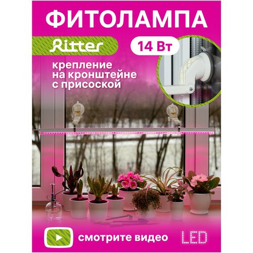        Ritter 56301 3, 14, 8722132. C 5 LED ,  , .  ,  2.,  1860