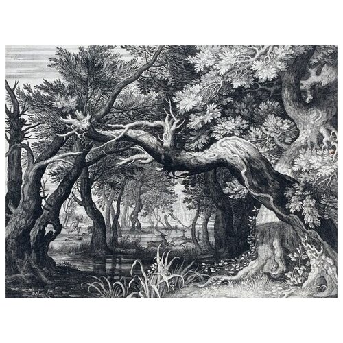     (Forest) 12 52. x 40.,  1760