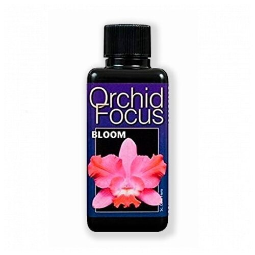    ( ) Orchid Focus Bloom 100 .,  700
