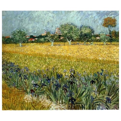            (View of Arles with Irises in the Foreground)    47. x 40.,  1640