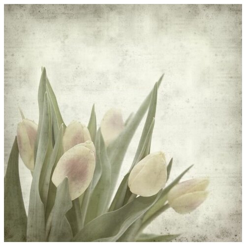     (Tulips) 21 60. x 60.,  2570