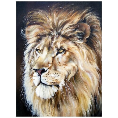     (Lion) 5 50. x 67.,  2470