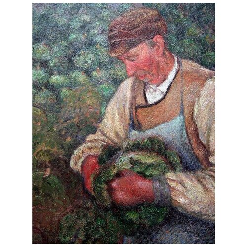       (The Gardener, Old Peasant with Cabbage)   30. x 39.,  1210