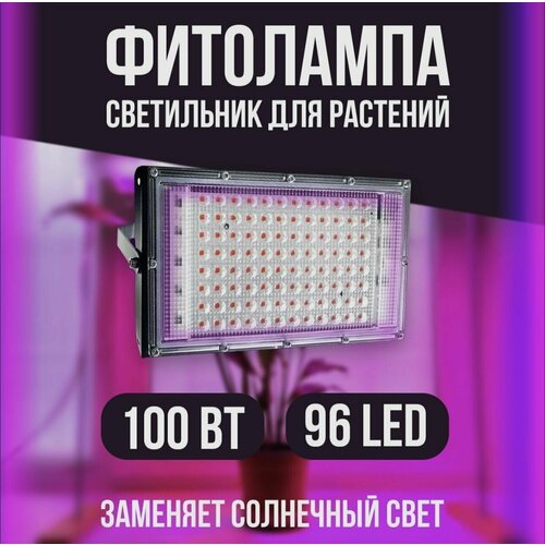  100 .         ,  ,   LED   ,  1550