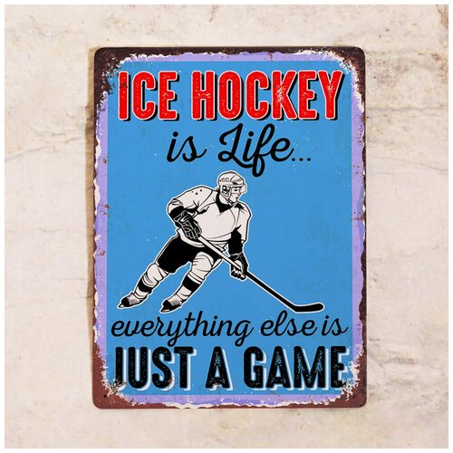   Ice hockey, , 3040 ,  1275