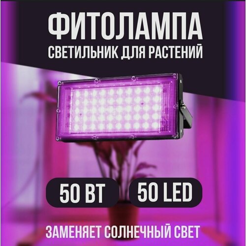  50 .         ,  ,   LED   ,  1190