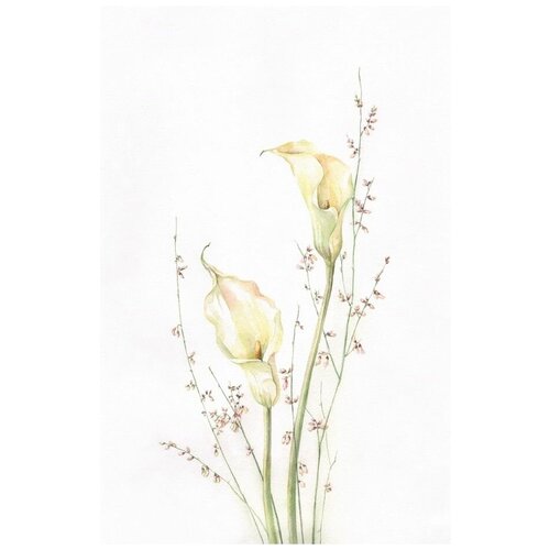      (White flowers) 2 30. x 46.,  1350