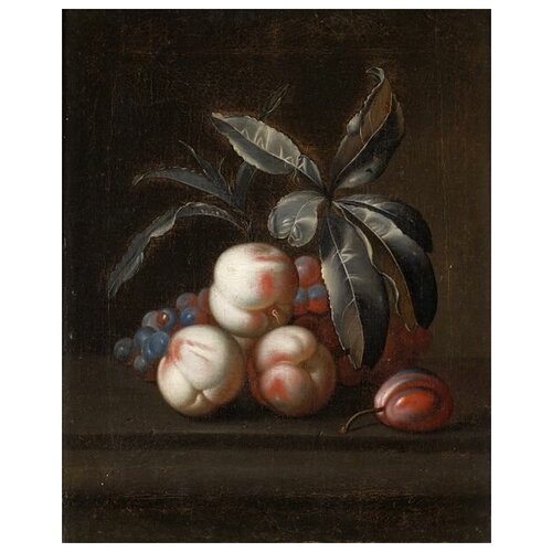     (Peaches) 5 50. x 62.,  2320