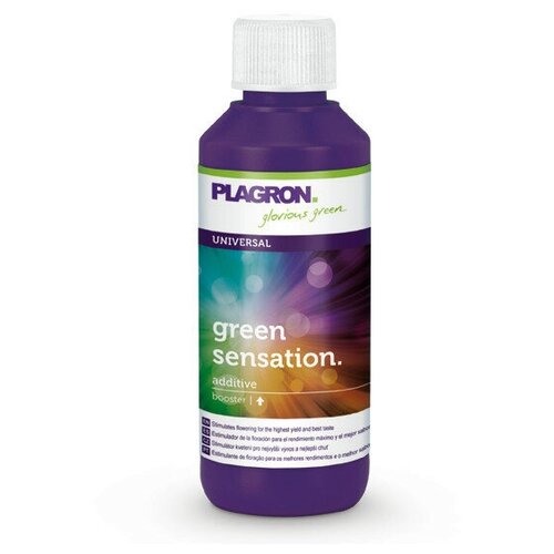   PLAGRON Green Sensation 0.1 ,  3100