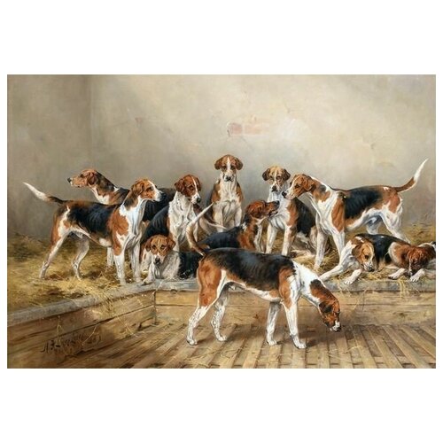     (Dogs) 4    44. x 30.,  1330