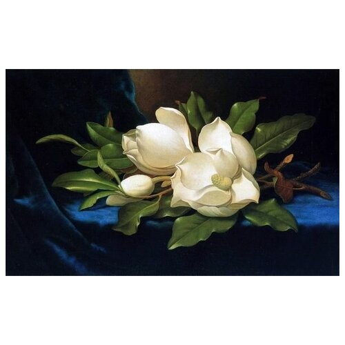        (Giant Magnolias on a Blue Velvet Cloth)    65. x 40.,  2070