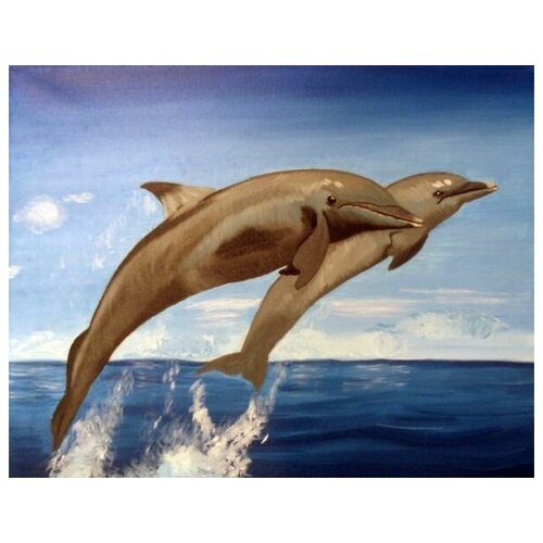     (Dolphins) 1 64. x 50.,  2370