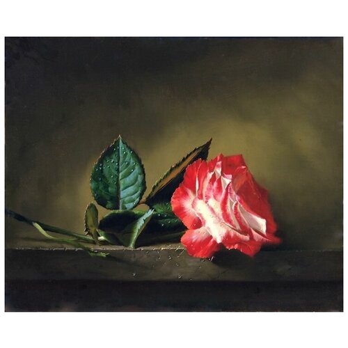     (Roses) 49   37. x 30.,  1190