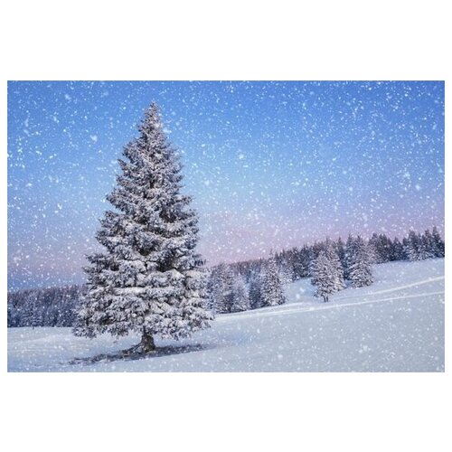      (Winter fir) 75. x 50.,  2690