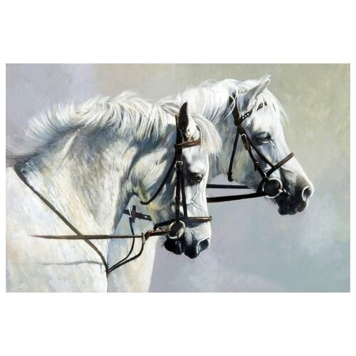     (Horses) 4 60. x 40.,  1950