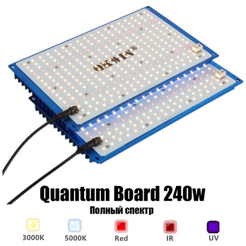     Quantum Board 240W,  12572