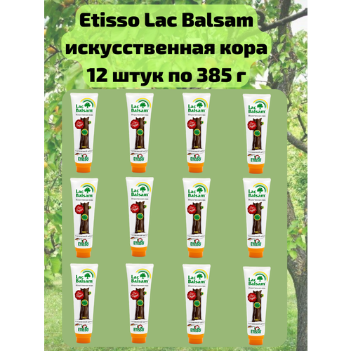  12 .         ,   , 385 Etisso / Lac Balsam,  13110