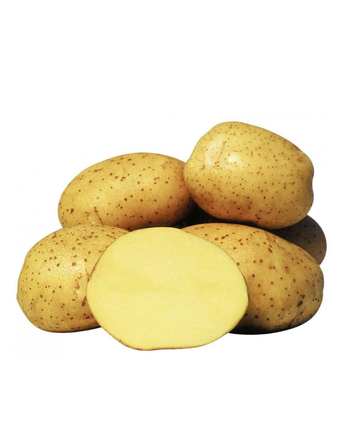 Картофель Колетте, РС1 2 кг, цена 320р