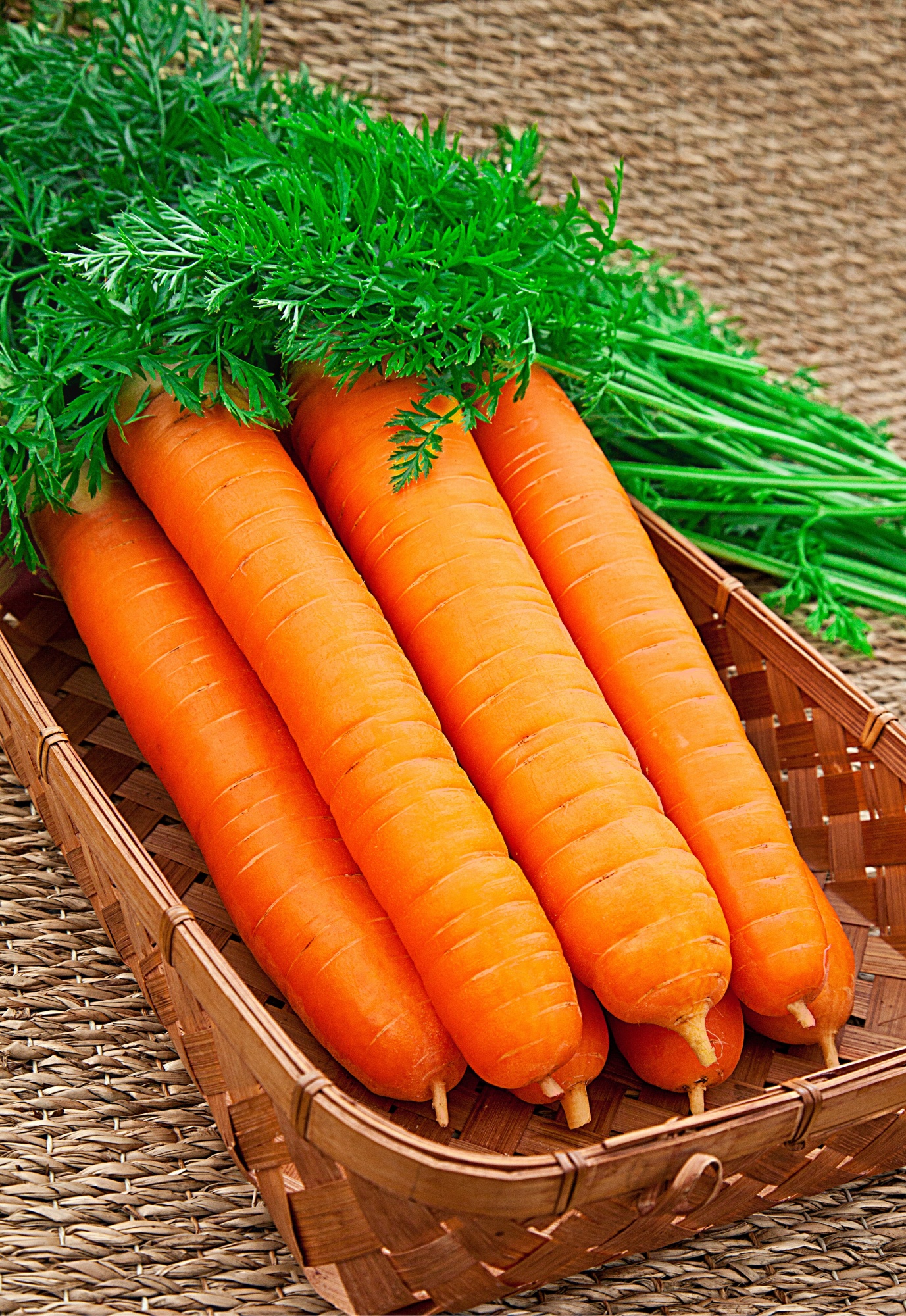 Морковь Самсон 0,5 гр ЗА 1 РУБЛЬ, цена 1р