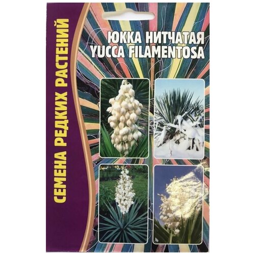     (Yucca filamentosa) (15 ),  199  ..