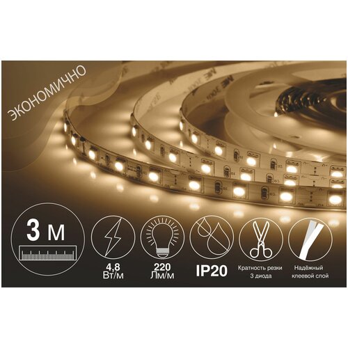  .  LED . 2 . 12, 4.8 /, SMD 3528, 60 /, IP20, 220 /,  ,  746