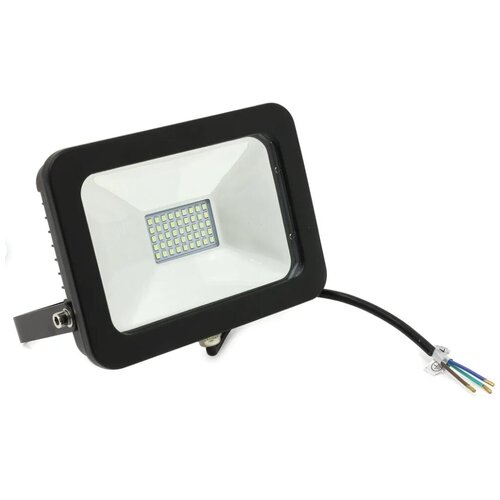  (LED)  FL SMD Smartbuy-30W/6500K/IP65 (SBL-FLSMD-30-65K)/40,  499