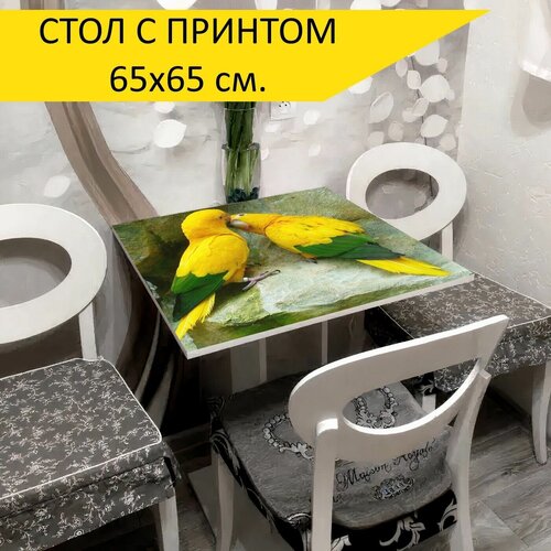 ���� 