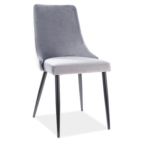 ���� SIGNAL PIANO B MATT VELVET, �������� �������, ���� 5270�