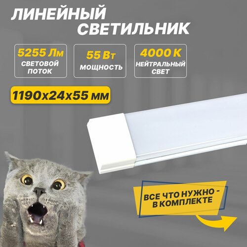   REXANT LED  ,   ,   , , , , ,  ,  940